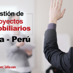 Programa Gestión de Proyectos Inmobiliarios  redes